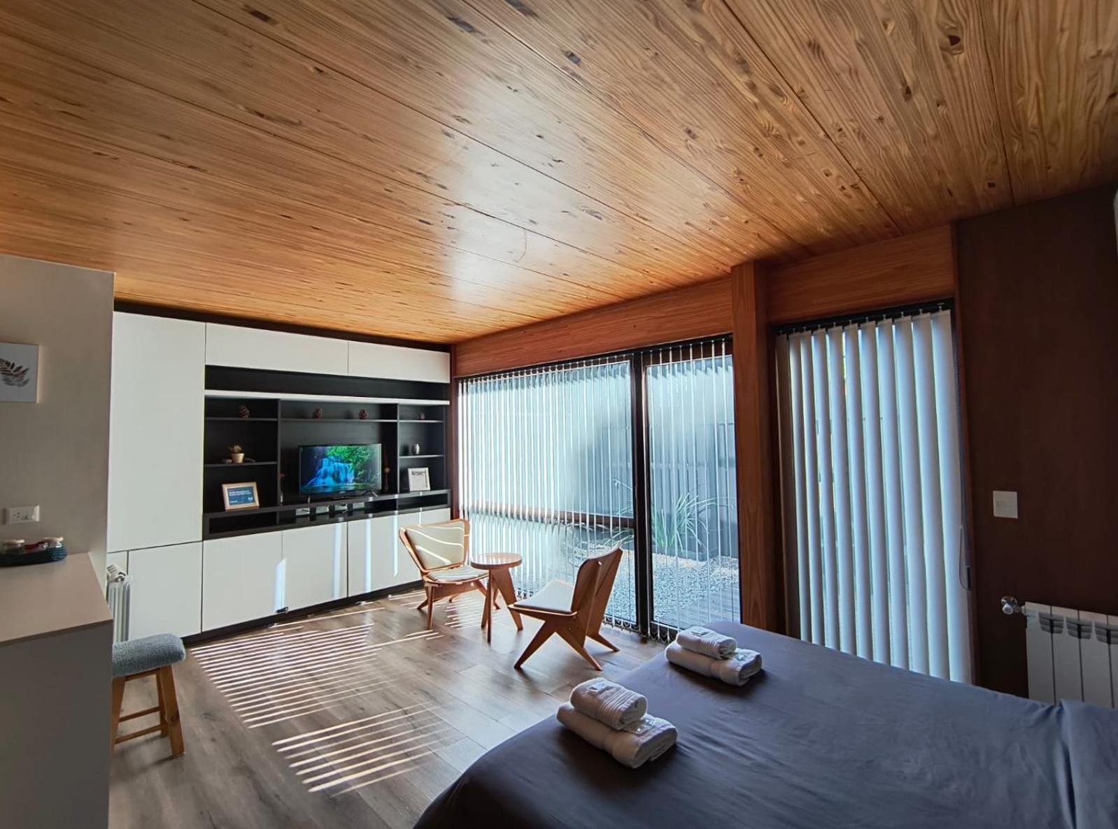 Rahue, Monoambiente Centrico Con Patio Propio Apartment ซาน มาร์ติง เด ลอส อันเดส ภายนอก รูปภาพ