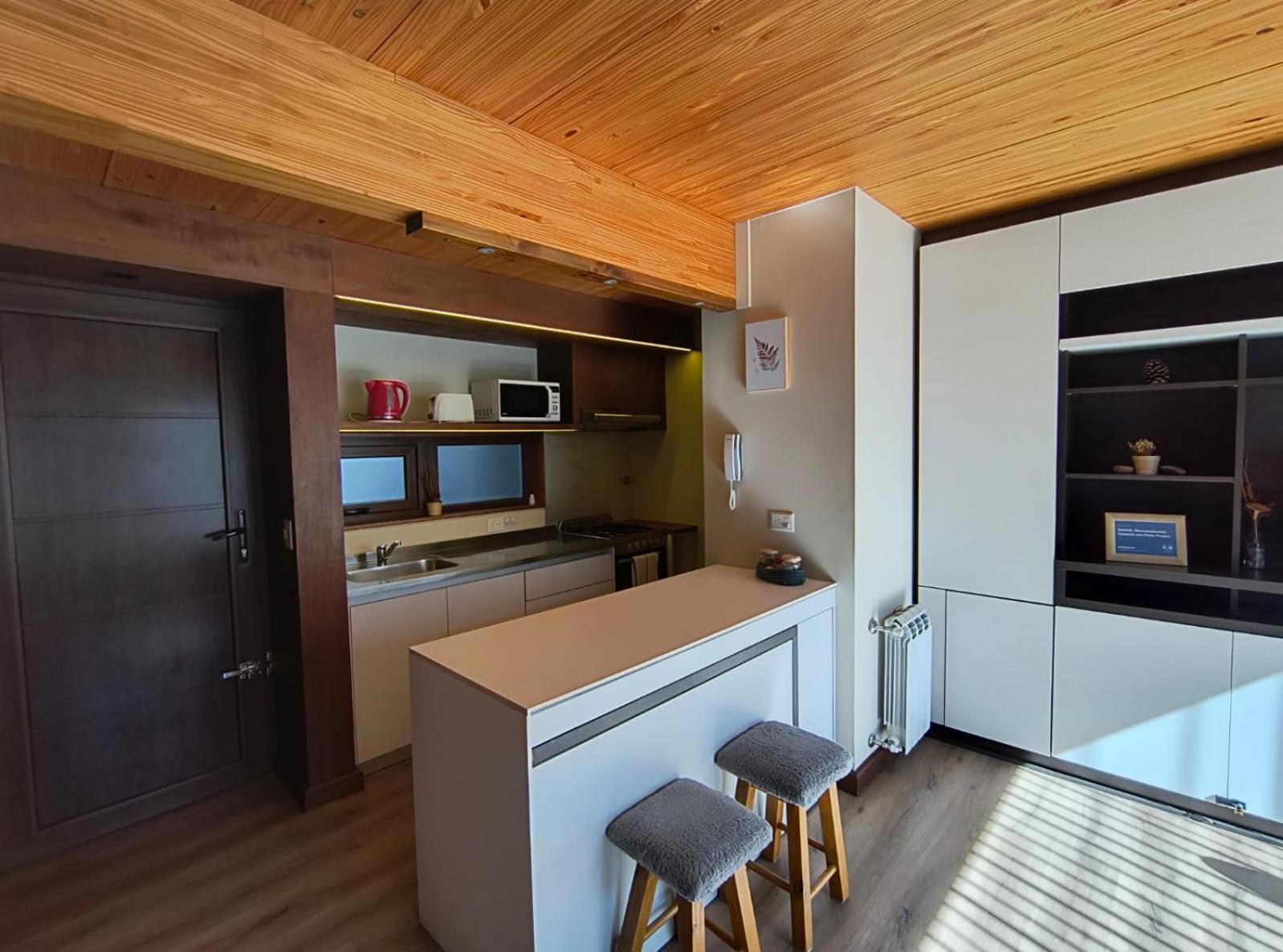 Rahue, Monoambiente Centrico Con Patio Propio Apartment ซาน มาร์ติง เด ลอส อันเดส ภายนอก รูปภาพ